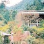 Miyajima Island, Japan